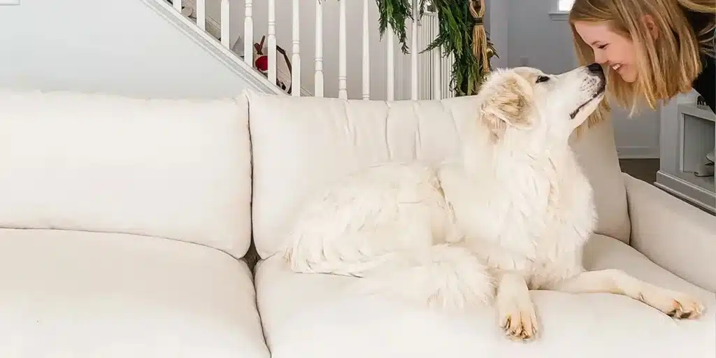 4. The Ivory Feather Filled Brynn Sofa