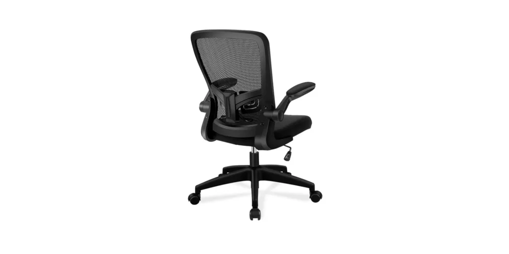 FelixKing Ergonomic Desk Chair