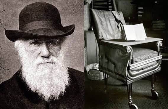 Task Chair vs Office Chair: What Most People Don’t Know