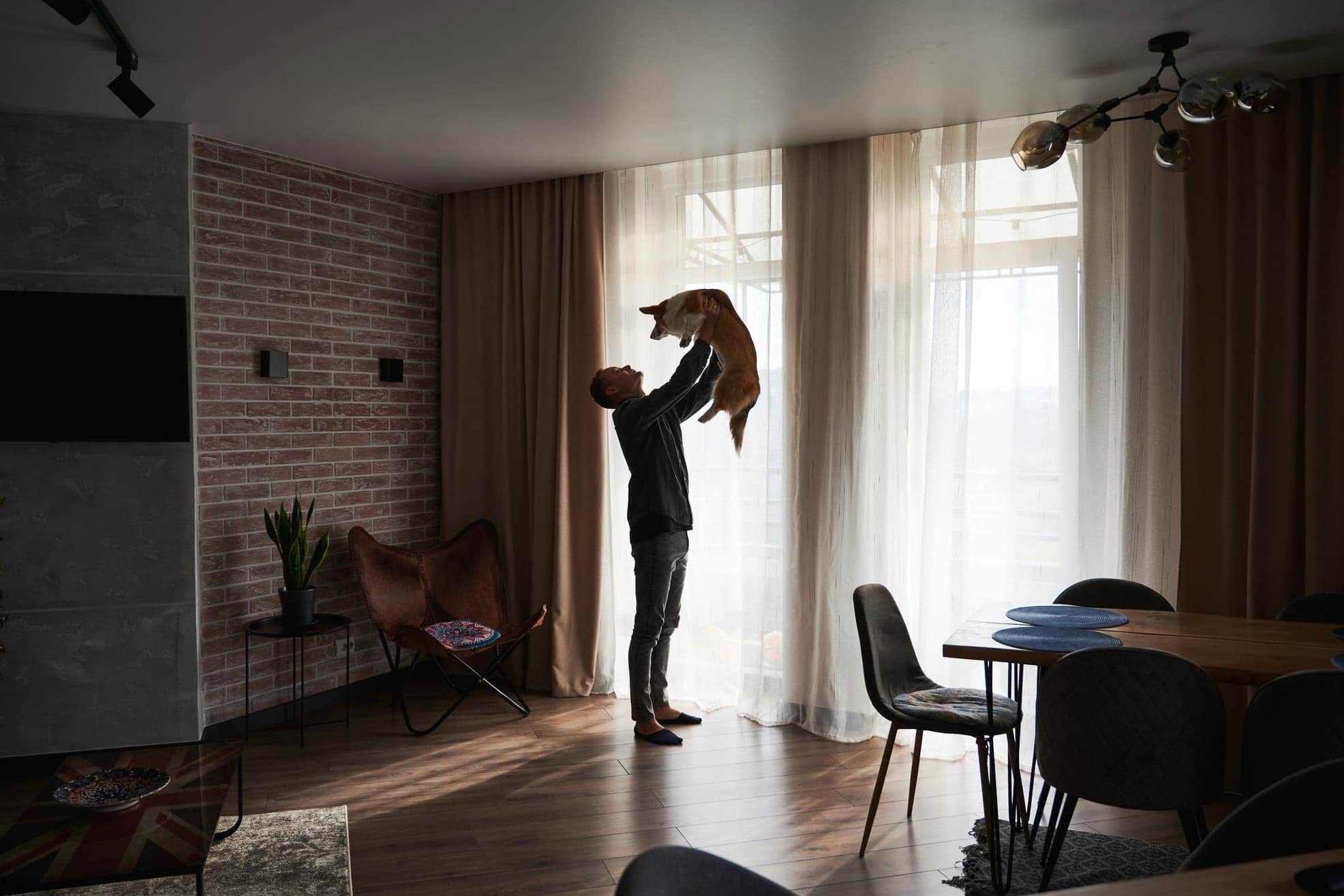 Need More Space? Discover How to Furnish a Studio Apartment Efficiently!
