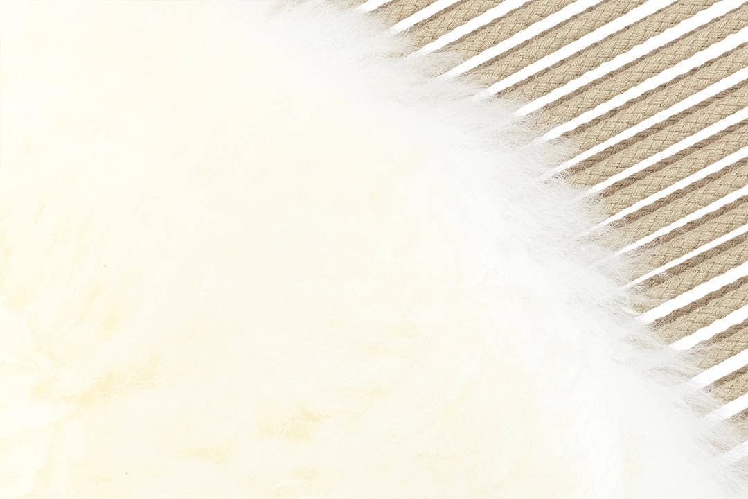 Product feature 4
