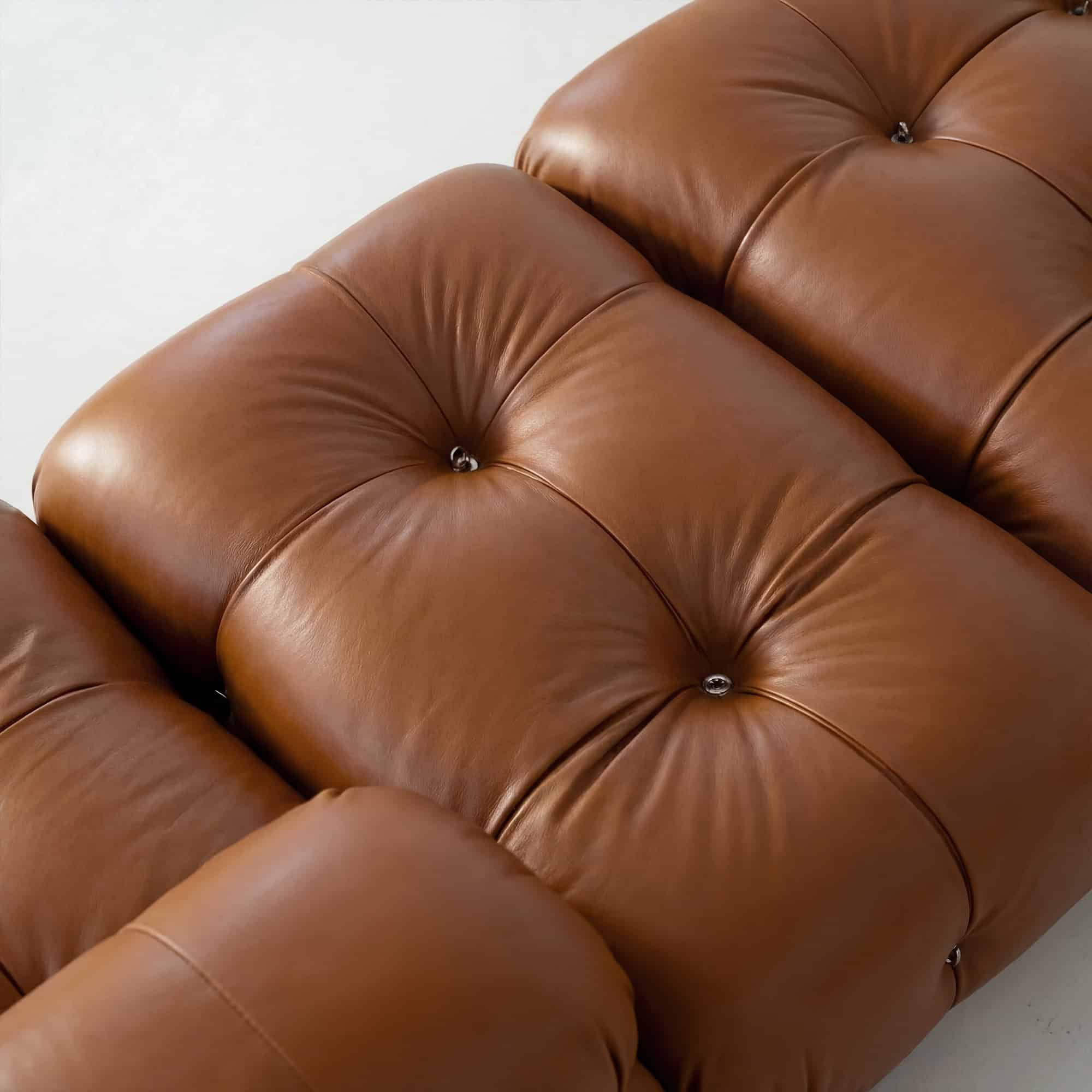 Camaleonda Sofa - Brown Leather (13) - Mario Bellini