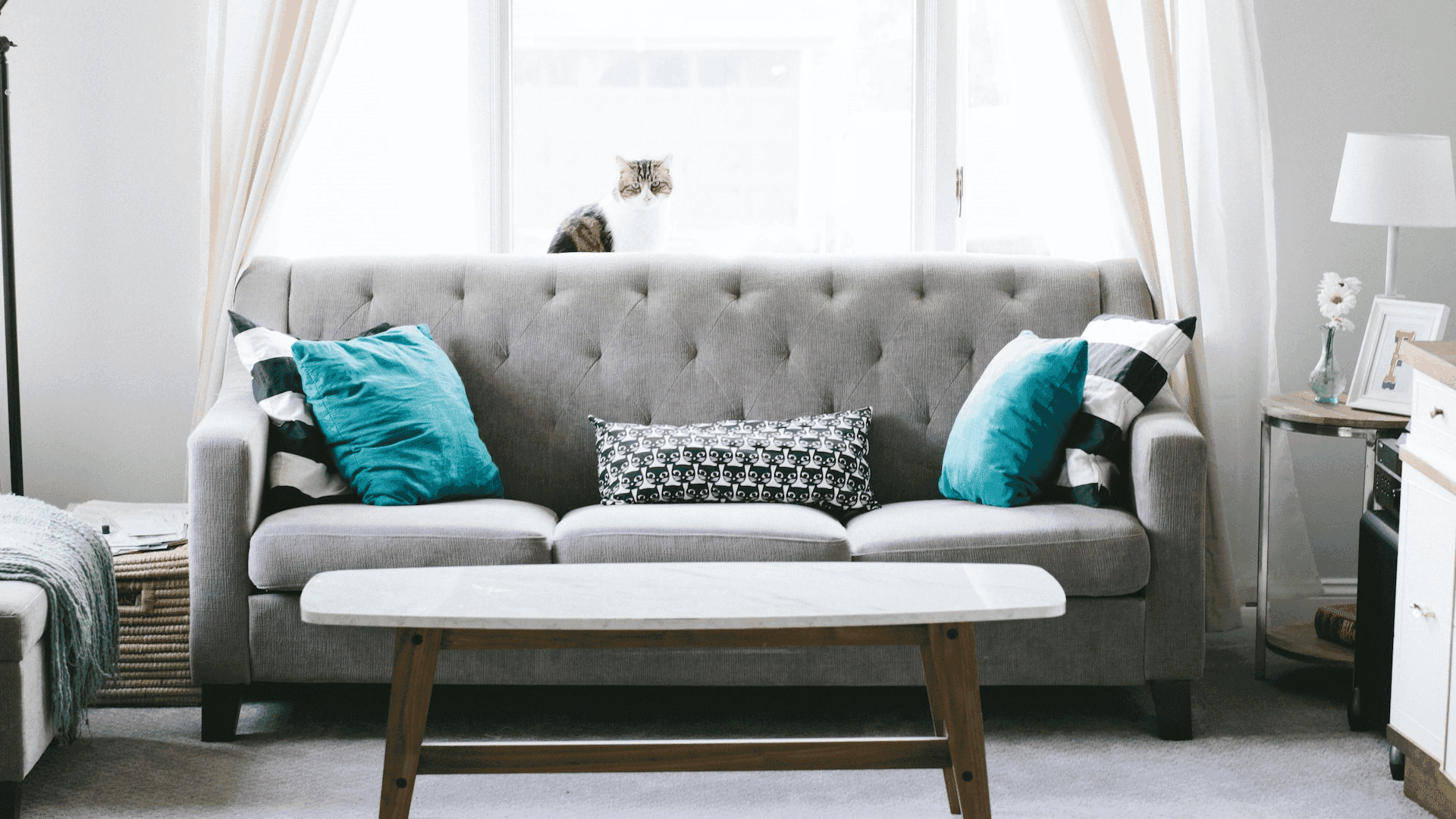 Best Classic Sofa Styles: Timeless Elegance for Every Home
