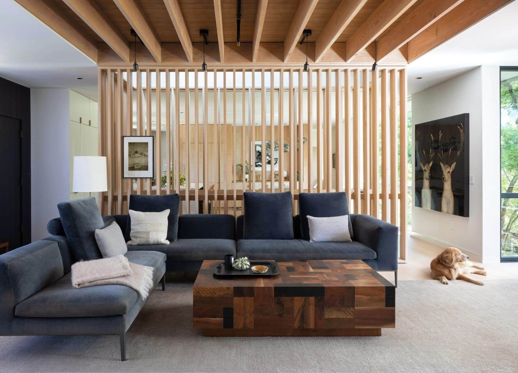 Room Divider Ideas to Redefine your Living Space