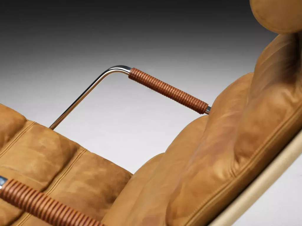 Aniline Leather
