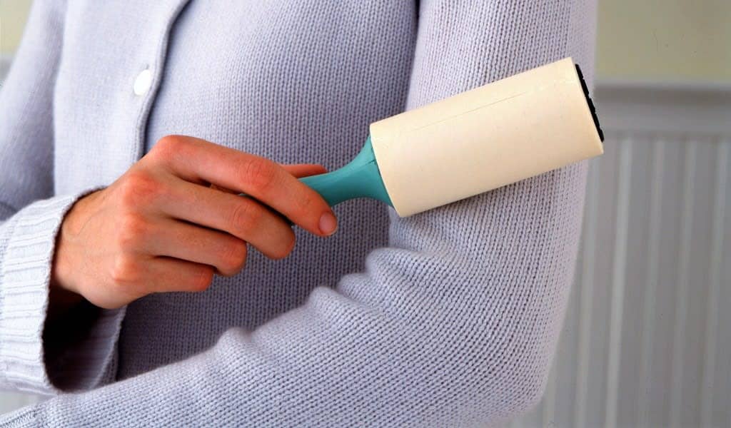 Roller Powerhouse: How to Remove Pet Hair from Sofa