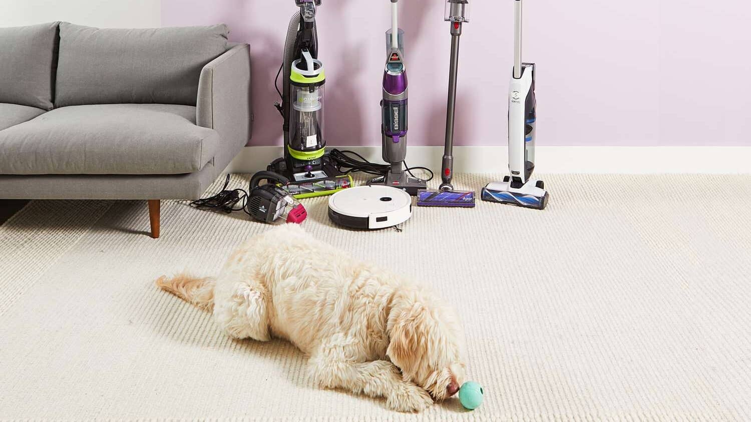 Vacuum Cleaner To Remove Pet Hair from Sofa