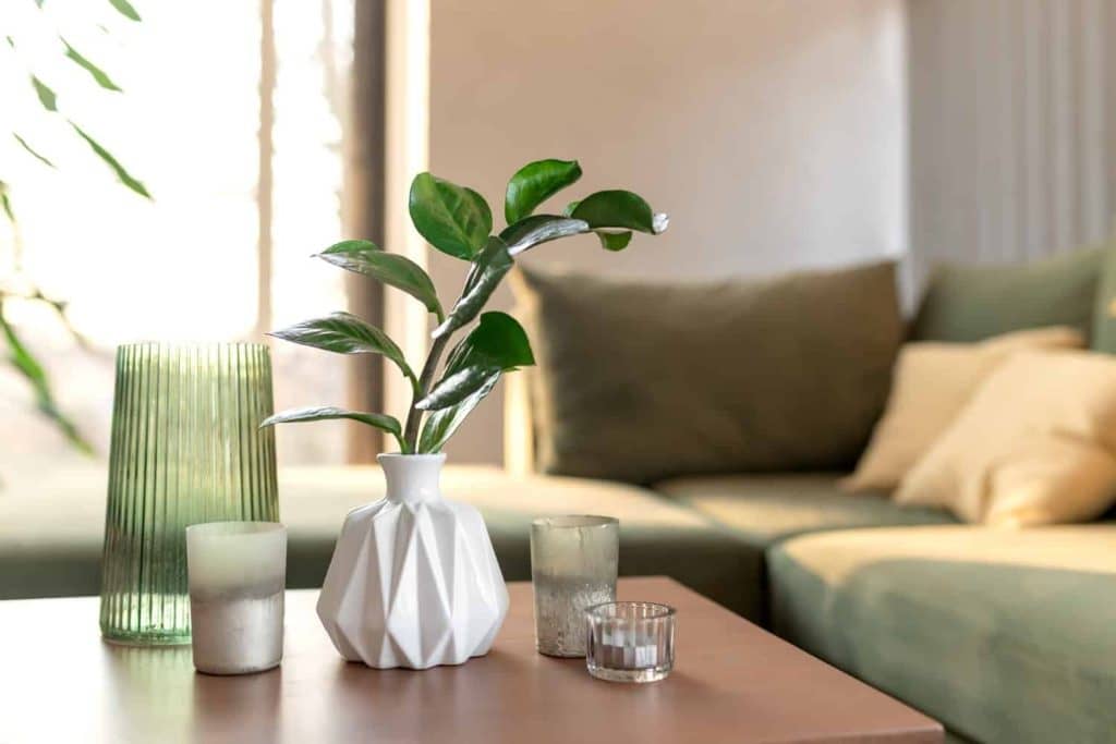 elegant modern coffee table decor