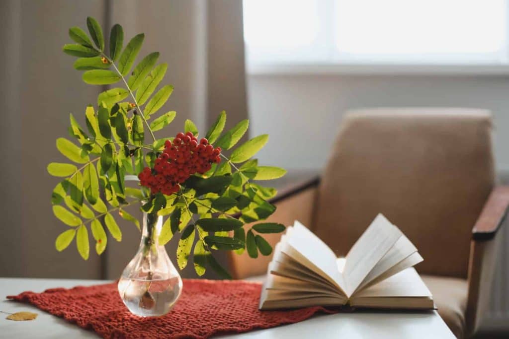 elegant modern coffee table decor