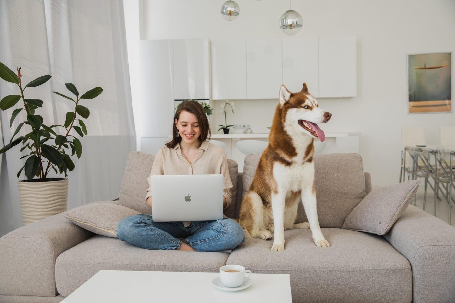 What to Consider When Buying a Sofa: Best Essential Tips for [year]