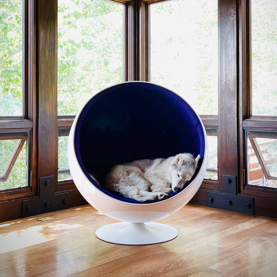 The Ball Chair