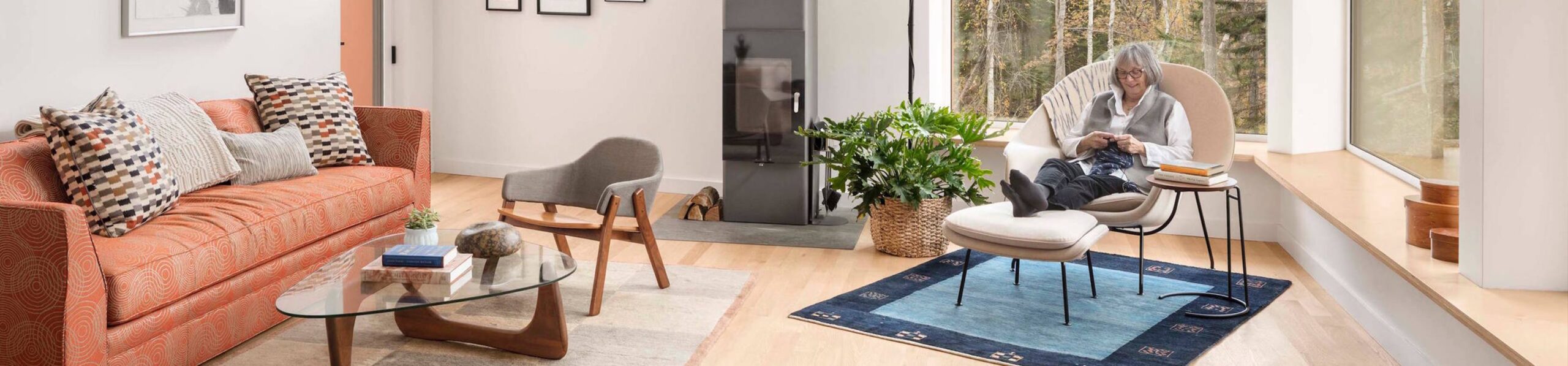 Collection Banner 13 scaled