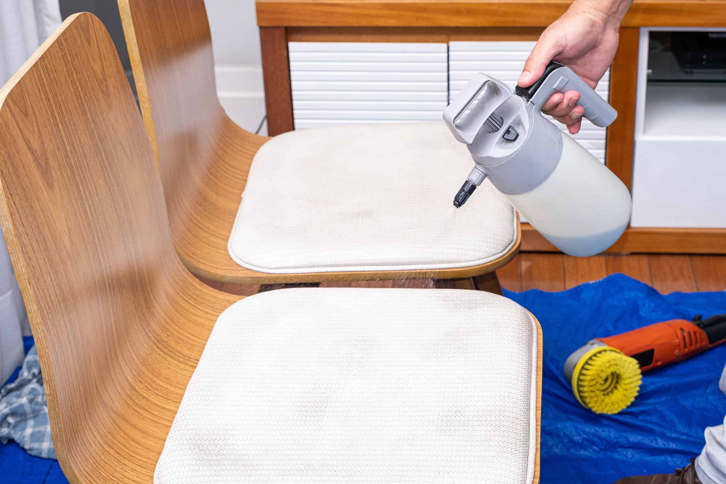 7 Easy Ways on How to Get Rid of Mold on Furniture