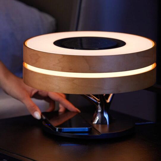 Smart Bonsai Tree Inspired Sohnne® Table Lamp Circle of Life 8" Lamp