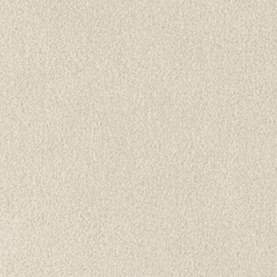 classicsuede beige 1 - Classic Suede