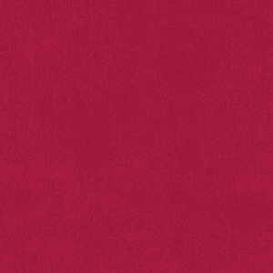 classicsuede burgundy 1