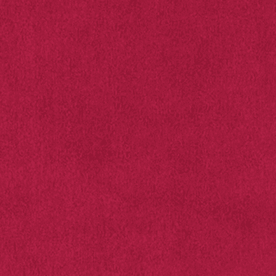 classicsuede burgundy 1