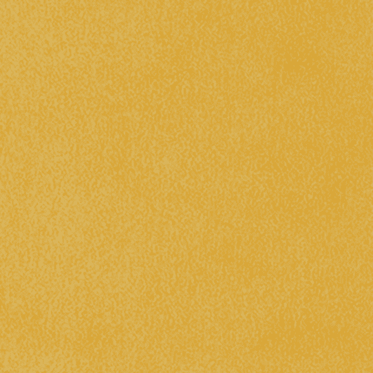 classicsuede mustard 1