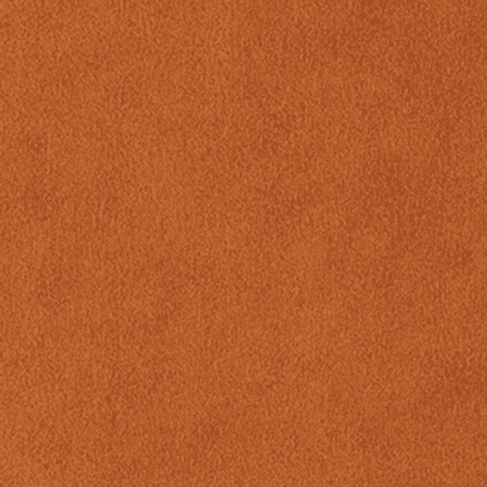 classicsuede rust 1