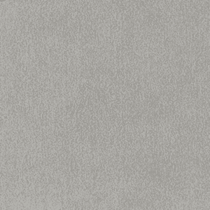 classicsuede taupe 1