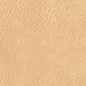 vintageleather cashew 1 - Vintage Leather