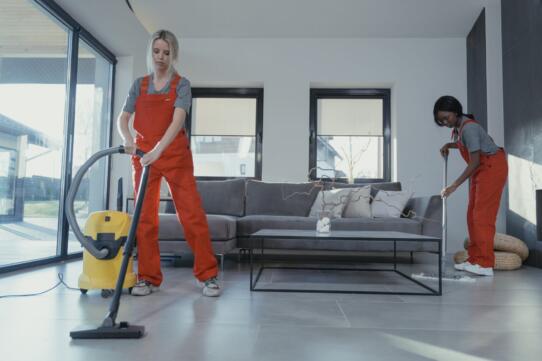Best Leather Cleaner for Sofas 2023: Restore Furniture Shine | Sohnne® pexels tima miroshnichenko 6195277 scaled - best leather cleaner for sofas, Restore, Shine