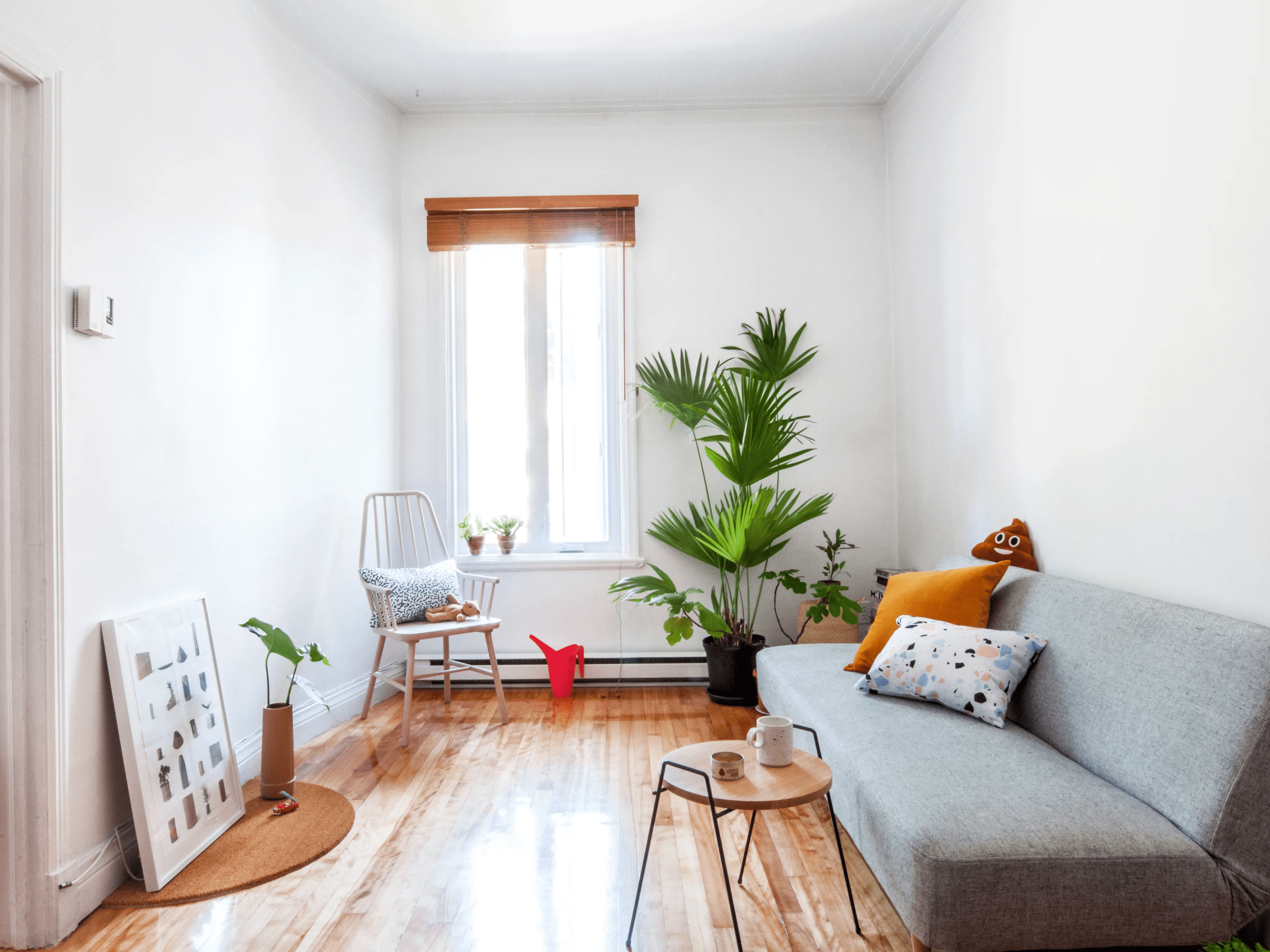 Apartment Living Room Ideas