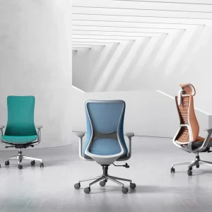 office furniture - back pain, best office chair