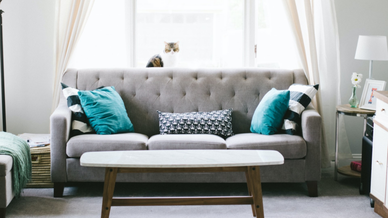 image 2023 10 09 164728093 - classic sofa styles, comfort