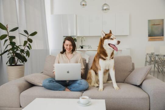 What to Consider When Buying a Sofa