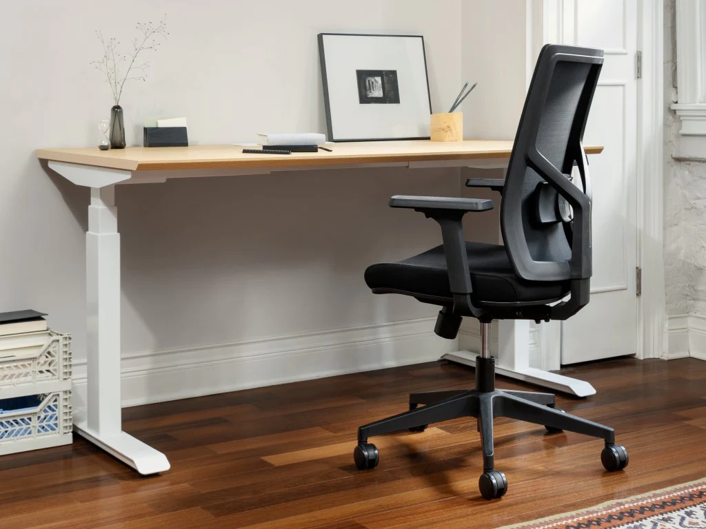 Ergonomic Home Office Chair
