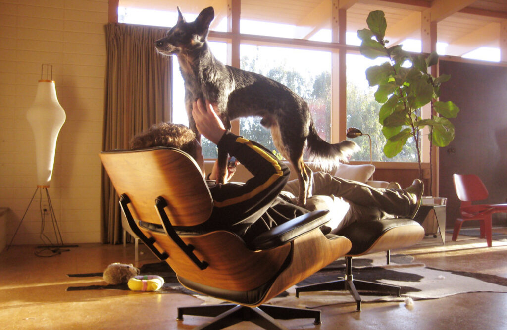 Eames Lounge Chair for Spring