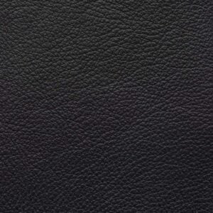 Aniline Leather black 5