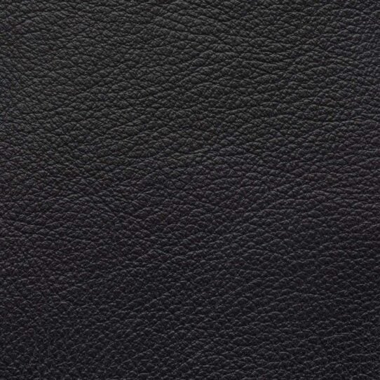 Aniline Leather black 5