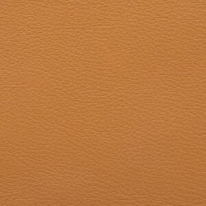Aniline Leather liscio camel