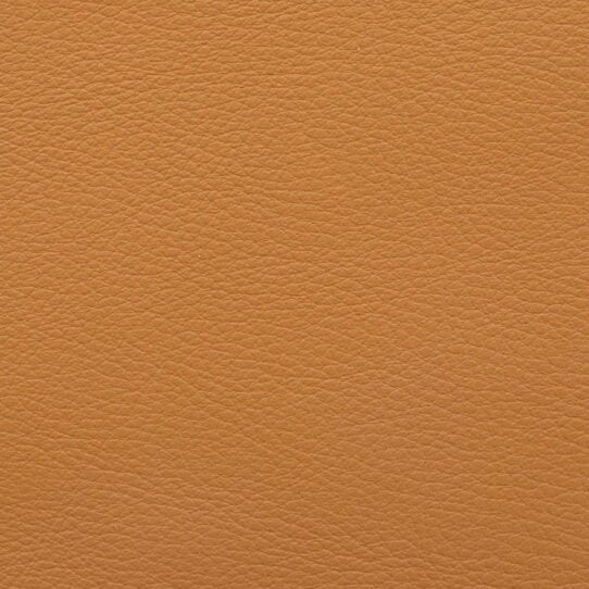 Aniline Leather liscio camel