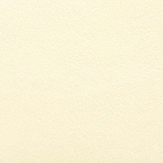 Aniline Leather liscio cream