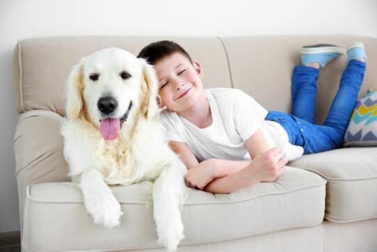best couches for kids