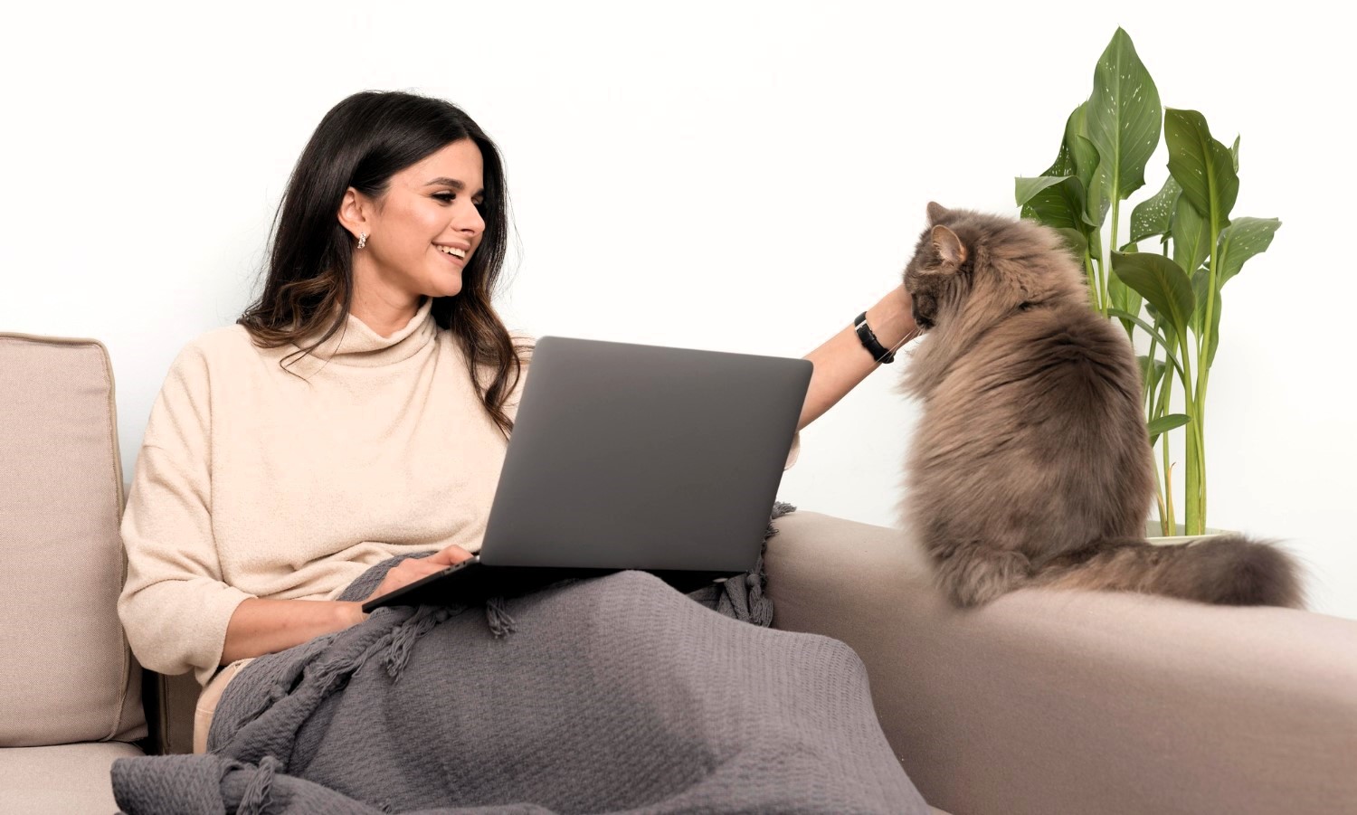 25 Things to Know Before Buying Best Pet Friendly Couches