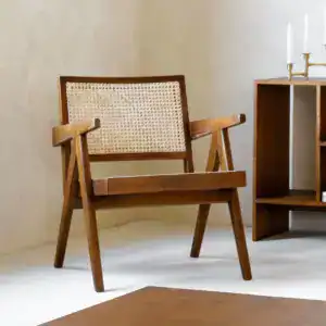 Chandigarh Easy Chair Brown 1 - Chandigarh Easy Chair