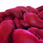 Python Nest Sofa - Burgundy Red (7) Python Nest Sofa Burgundy Red 7 - Python Boa Sofa