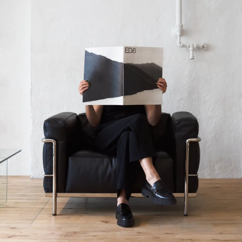 LC3 Armchair Replica by Le Corbusier 6 - LC3 Armchair,  Le Corbusier