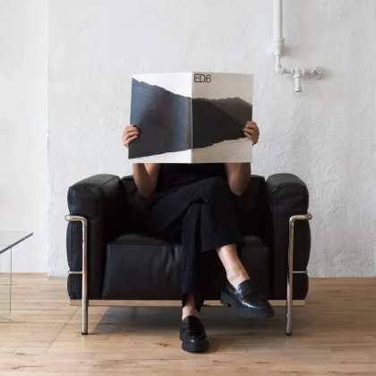 LC3 Armchair Replica by Le Corbusier 6 - LC3 Armchair