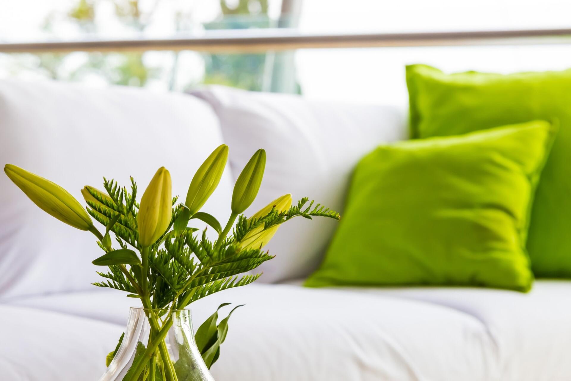 The Role of Sustainable Furniture in Modern Hotels