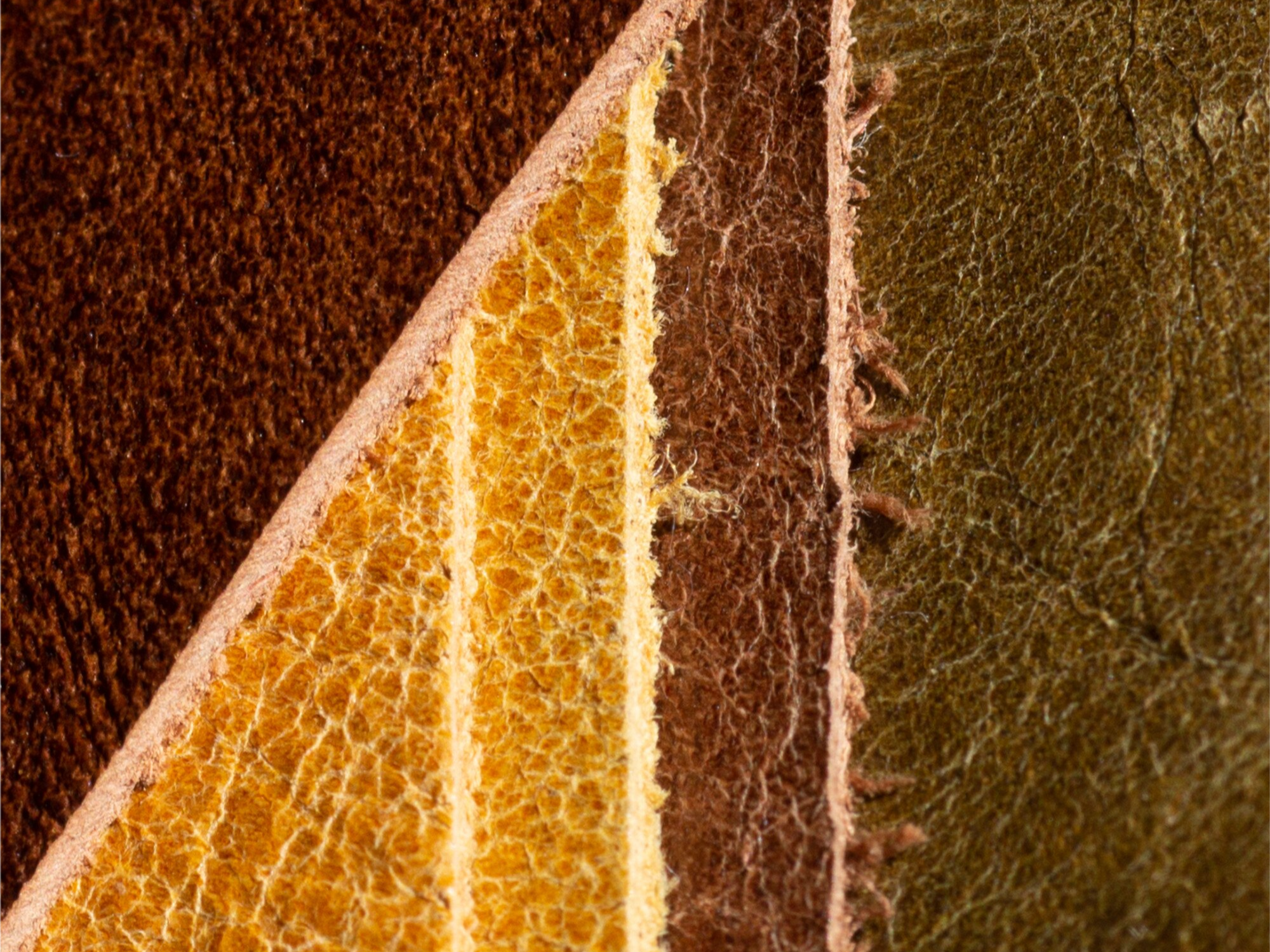 aniline leather| type of leather with natural markings from tanned animal hide