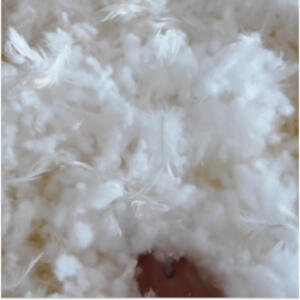 down feather