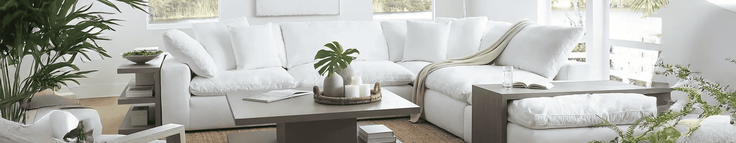 Banner Collection Cloud