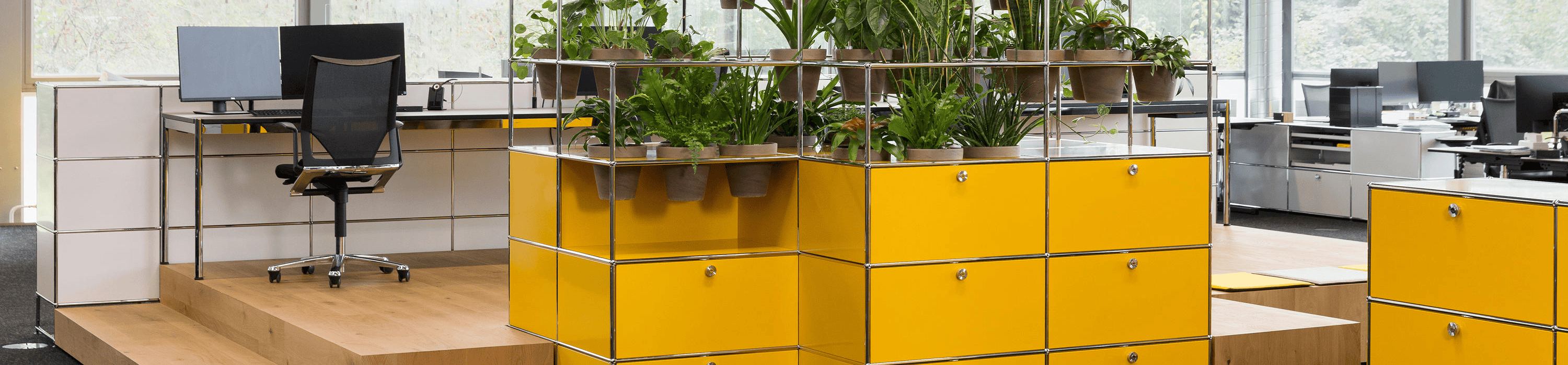 Collection Haller Banner