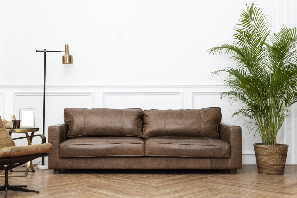 Dark brown leather sofa living room with plants on the right 