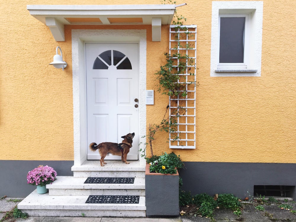 white front door of an orange house dog standing in front of it